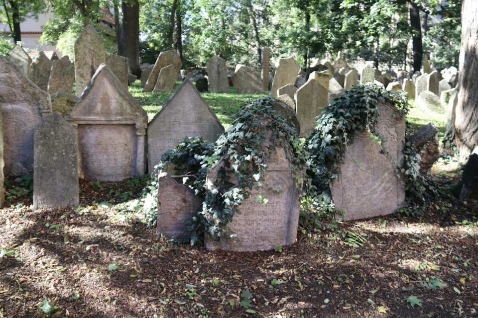A bunch of headstones in a cemetery