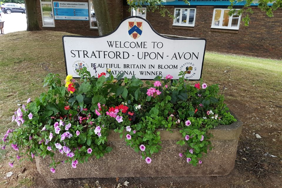 purple flowers with white and blue wooden signage